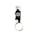 Bouton HOME 3D iPhone 7 / 7 Plus / 8 / 8 Plus / SE 2020 JCID Or | Blanc | Noir